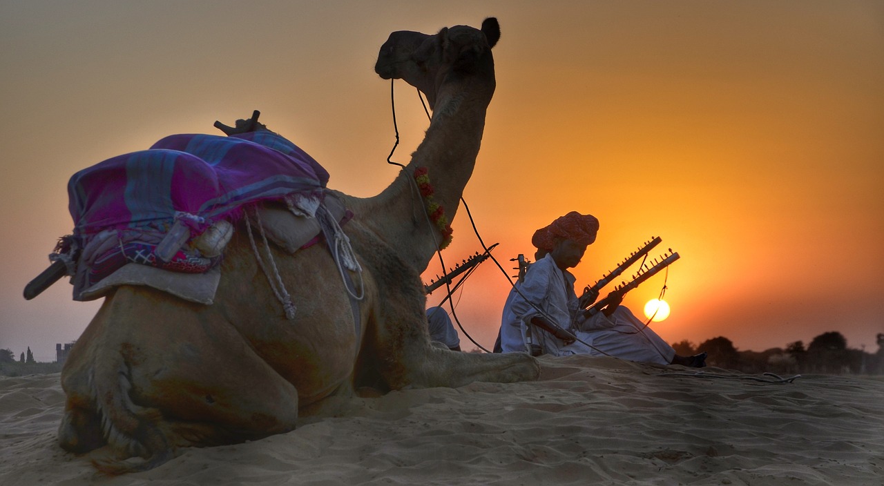 rajasthan, camel, safari, trekking, evening, dusk, nature, sunset, entertainers, music, indian, people, men, adventure, travel, desert, tourism, brown music, brown travel, brown sunset, brown desert, rajasthan, rajasthan, rajasthan, rajasthan, rajasthan